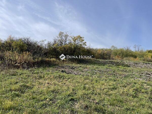 Királyvölgy, Tinnye 3. képe