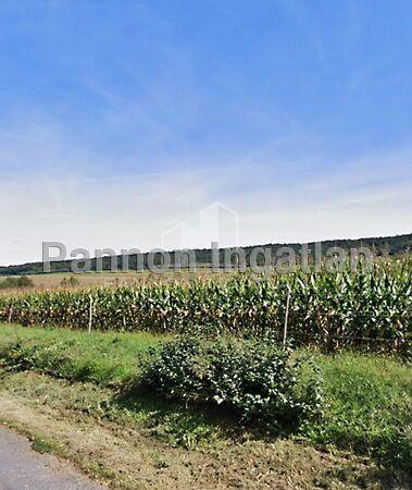 Vigántpetend 3. képe