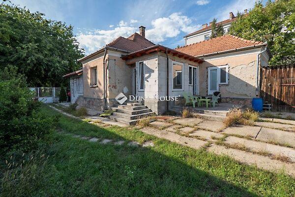 Fenyő, Tata 2. képe