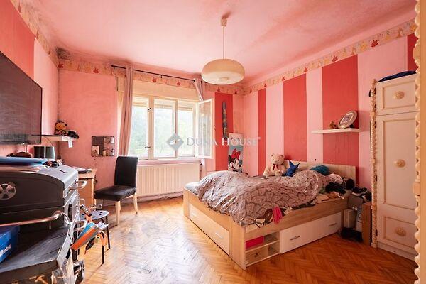 Fenyő, Tata 3. képe