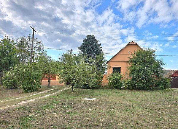 Nagyboldogasszony, Madaras 3. képe