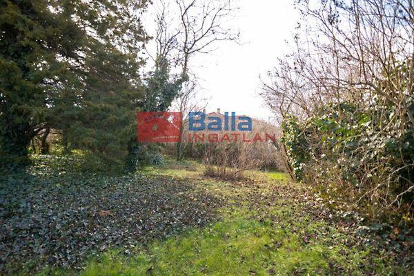 Homokos, Diósd képe