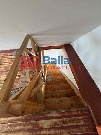 Nárcisz, Pomáz 2. képe