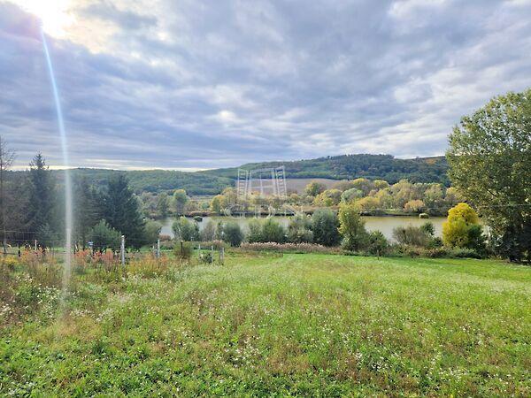 Tóra néző, Kisbucsa 2. képe