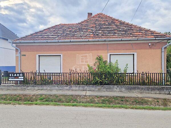 Tóra néző, Kisbucsa 3. képe