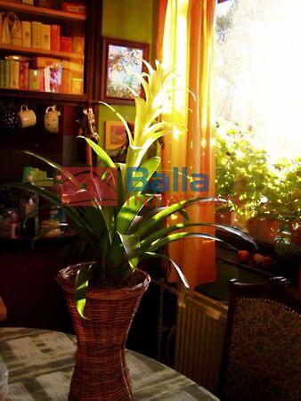 József, Dunakeszi 3. képe