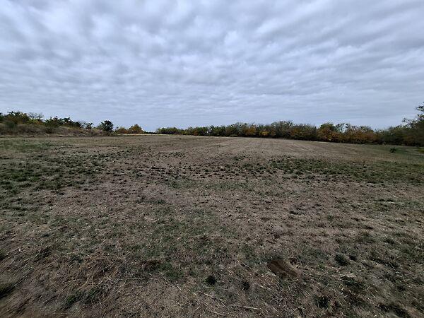 Bercsényi Miklós, Gomba 3. képe