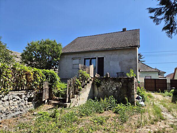 Dózsa György, Baja 2. képe