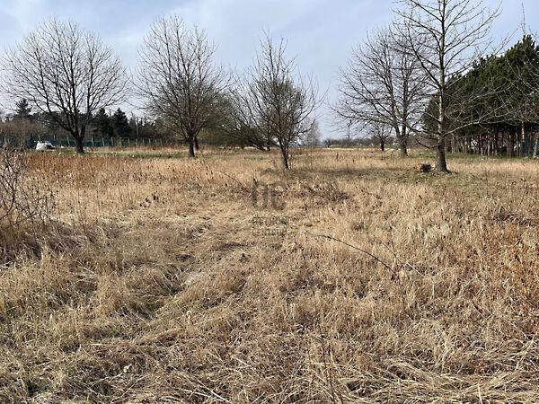 Cserszegtomaj 2. képe