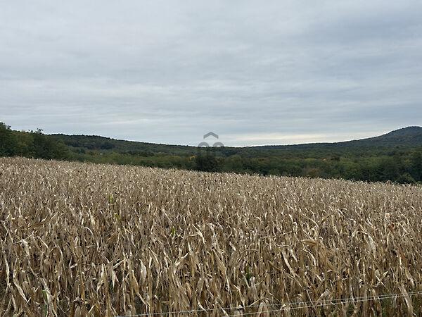 Zalaszántó 3. képe