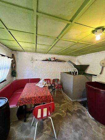 Farkas, Gyód 2. képe