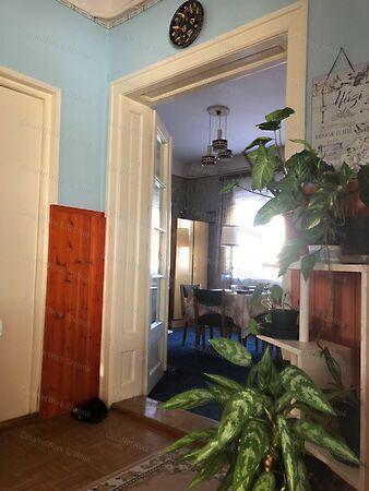 Zagyvarékas 3. képe