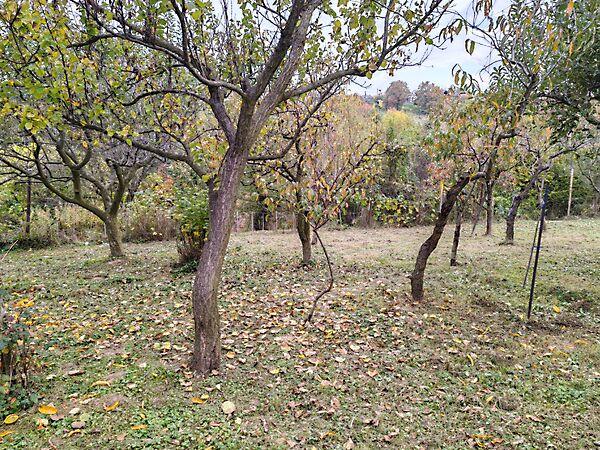 Zalaegerszeg 3. képe