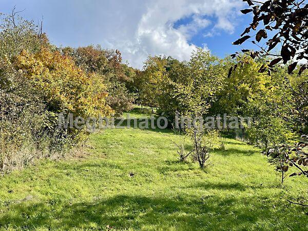 Rezi, Cserszegtomaj 3. képe