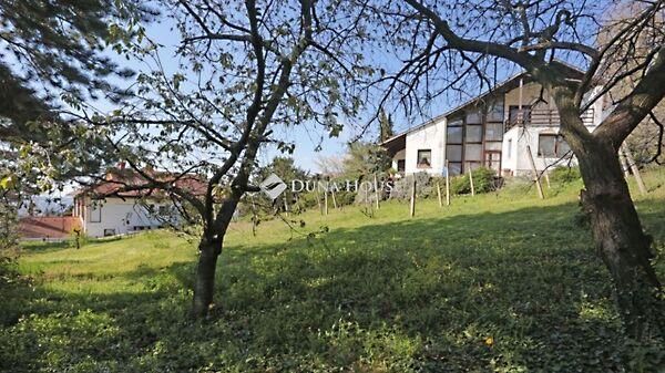 Hunyadi János, Pécs 2. képe