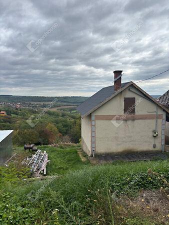 Kossuth, Milejszeg képe