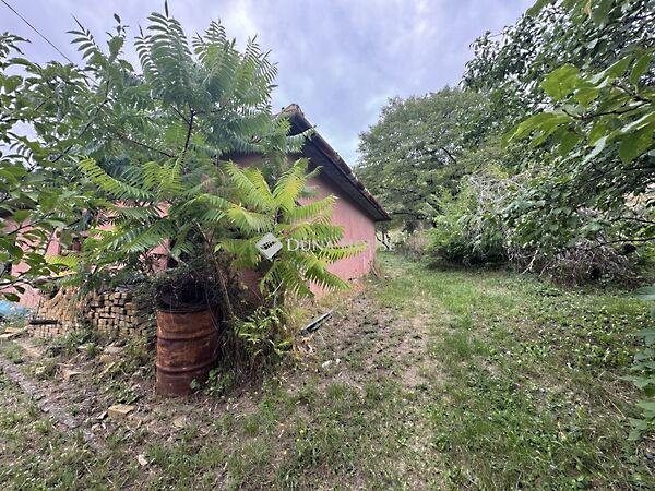 Benedek apát, Szekszárd 3. képe