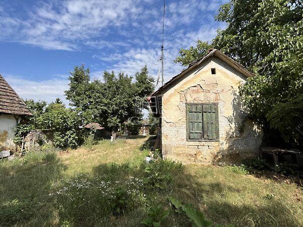 Fő, Budakeszi 3. képe