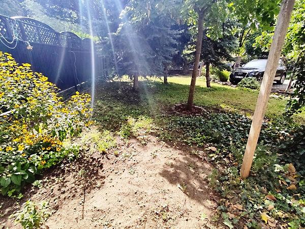 Nagy Lajos király, Debrecen 3. képe