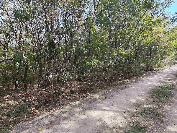 Balatonalmádi 2. képe