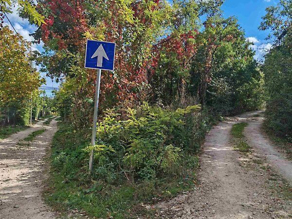 Balatonalmádi 3. képe