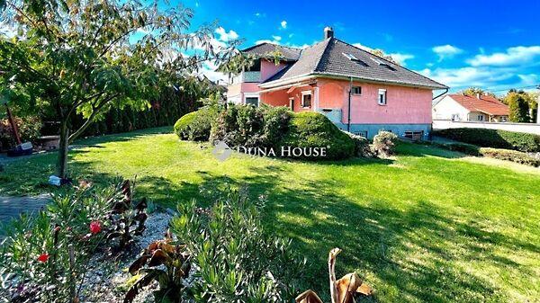 Nárcisz, Siófok képe