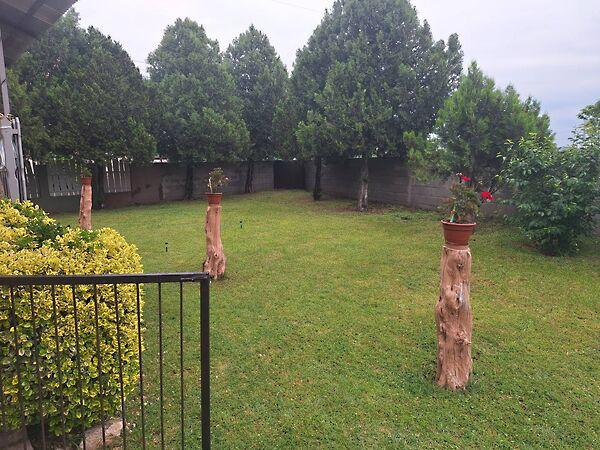 Dunavarsány 2. képe