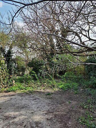 Törökbálint 3. képe