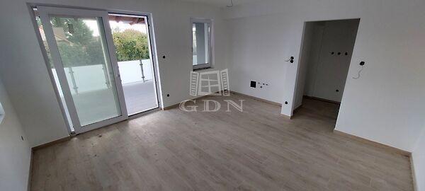 Haraszty Ferenc, Dunaharaszti 3. képe