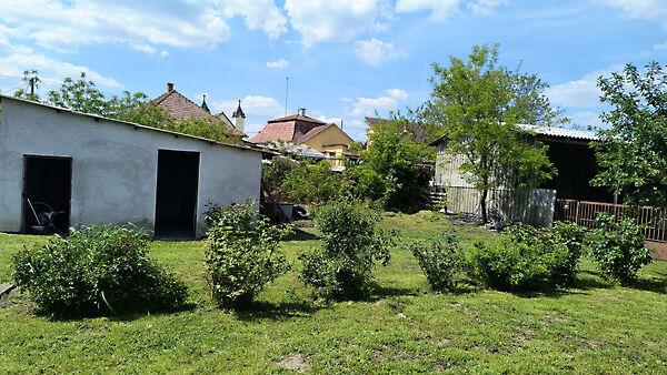 Hercegszántó 2. képe