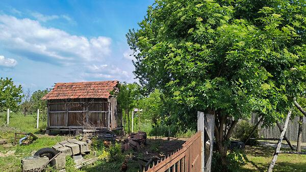 Hercegszántó 3. képe