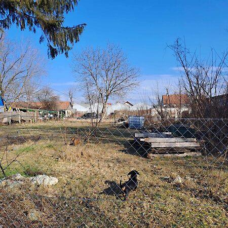 Judit Ingatlan és, Monor 2. képe