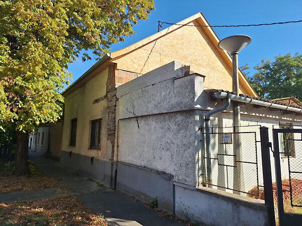 Szentesi, Csongrád 3. képe