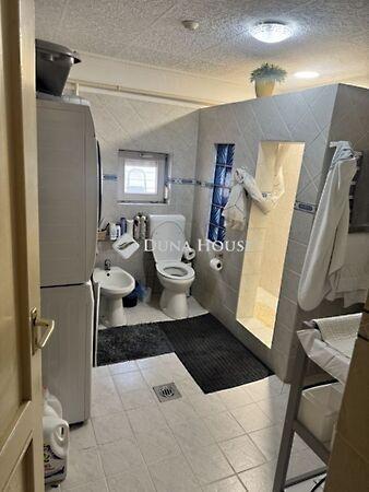 Damjanich János, Gyál 3. képe