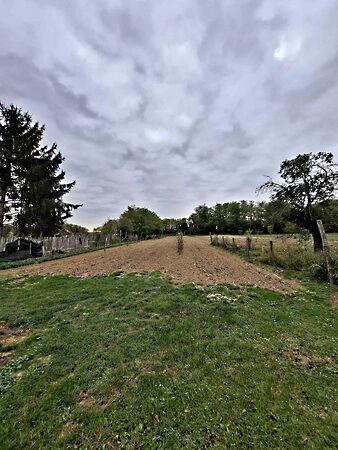 Somogysárd 3. képe