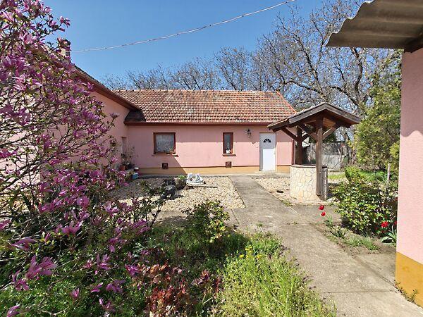 Kolozsvári, Rákóczifalva 2. képe