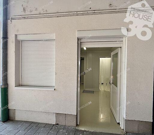 Kiskunfélegyháza képe