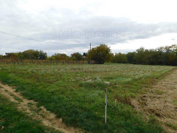 Szentgyörgyvár képe