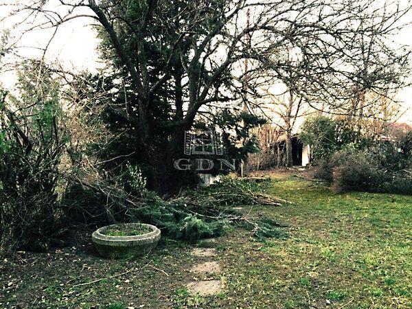 Attila.,u., Maglód 3. képe