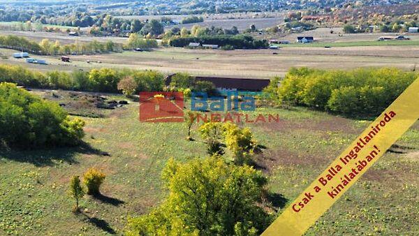 nincs, Őrbottyán képe