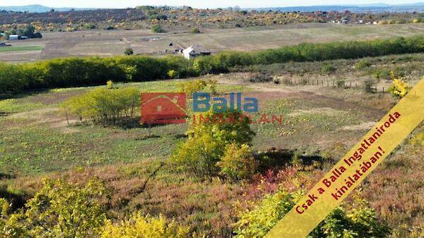 nincs, Őrbottyán 2. képe