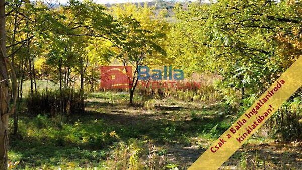 nincs, Őrbottyán 3. képe