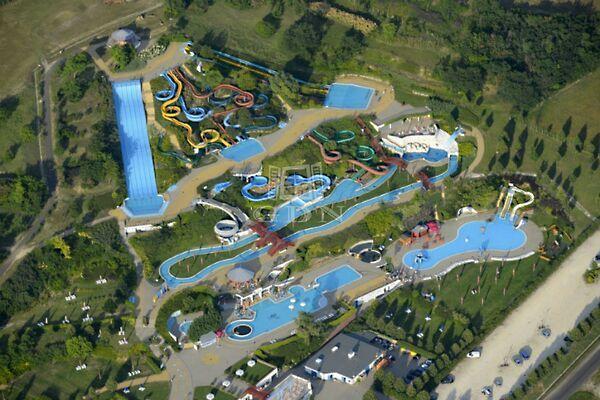 Kamillás, Mogyoród 2. képe