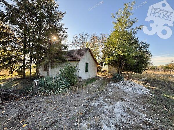 Kiskunfélegyháza 2. képe