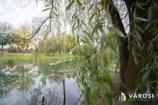 Vámosszabadi 2. képe