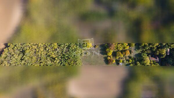 A sülysápi tavak, Sülysáp 3. képe