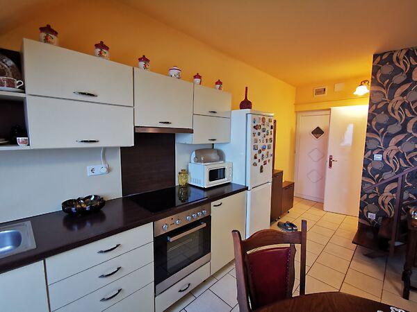 Bálint Sándor, Szeged 3. képe