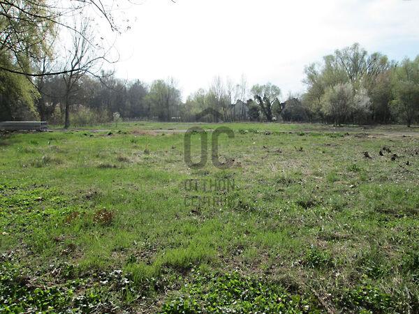 Balatonboglár képe