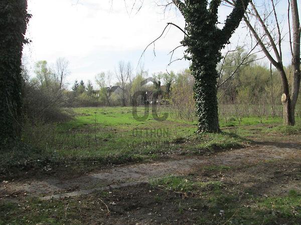 Balatonboglár 3. képe