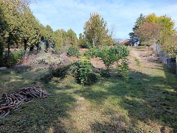 Iskola, Mogyoród 2. képe